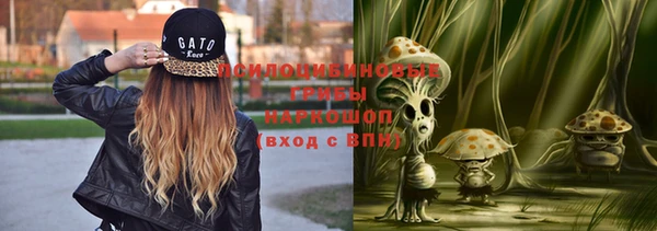 jwh Рославль