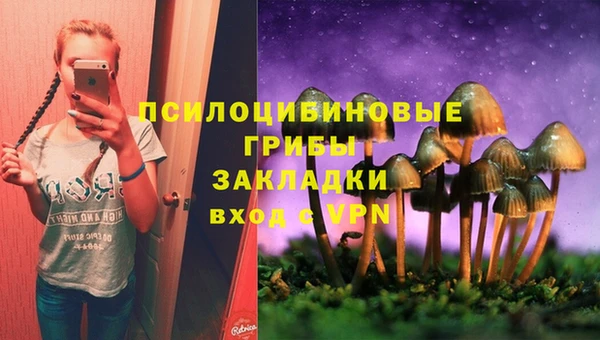 первитин Балахна